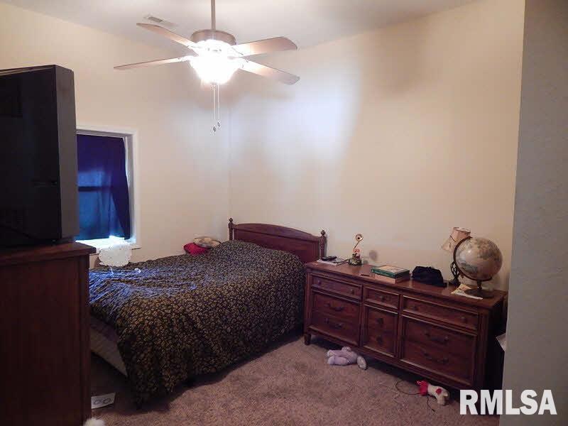 2742 Bannister Road Iuka, IL 62849 - Photo 6 of 30
