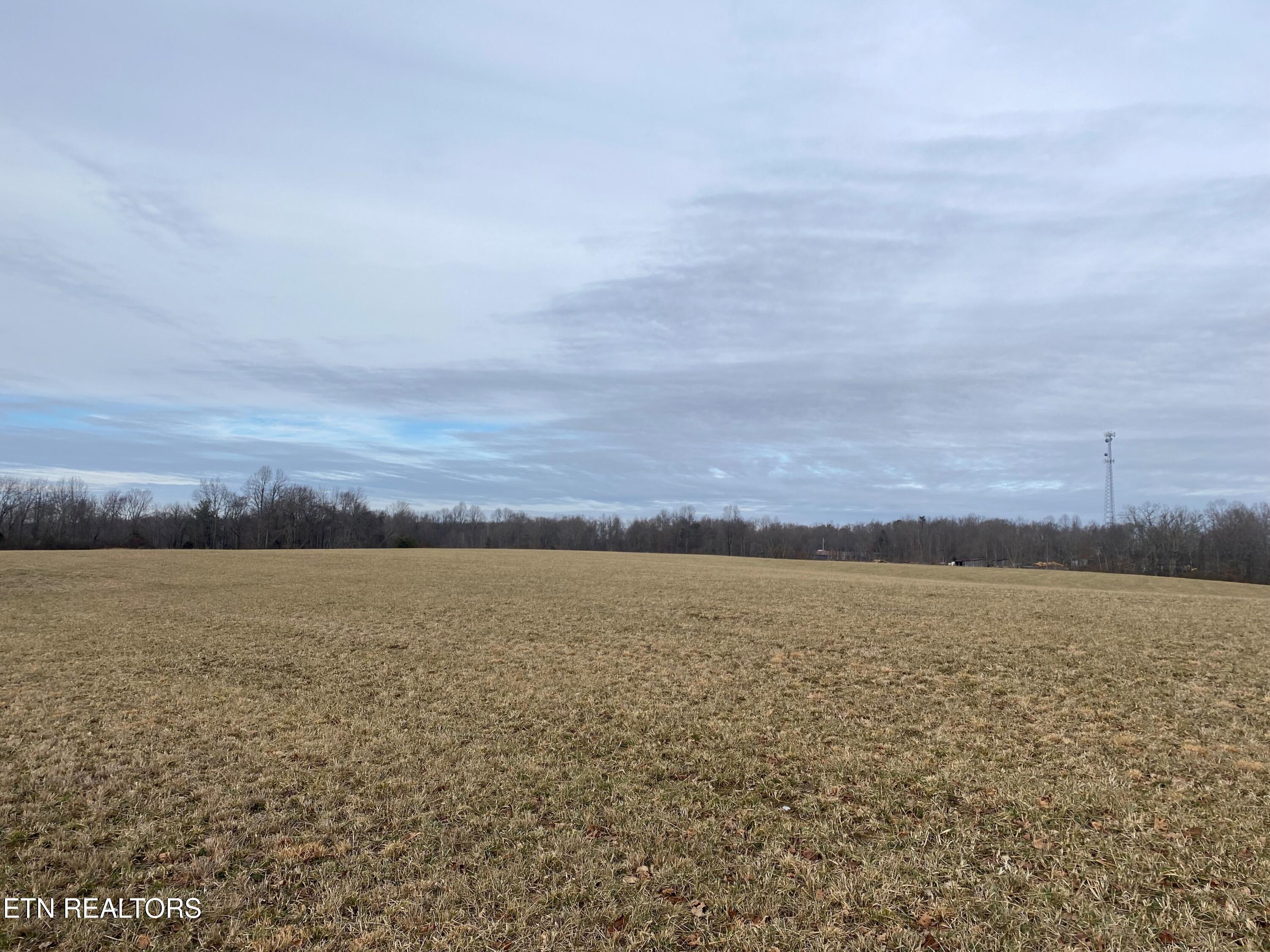 0 Old Martha Washington Road Clarkrange, TN 38553 - Photo 13 of 15 Old MW Road fall photo3