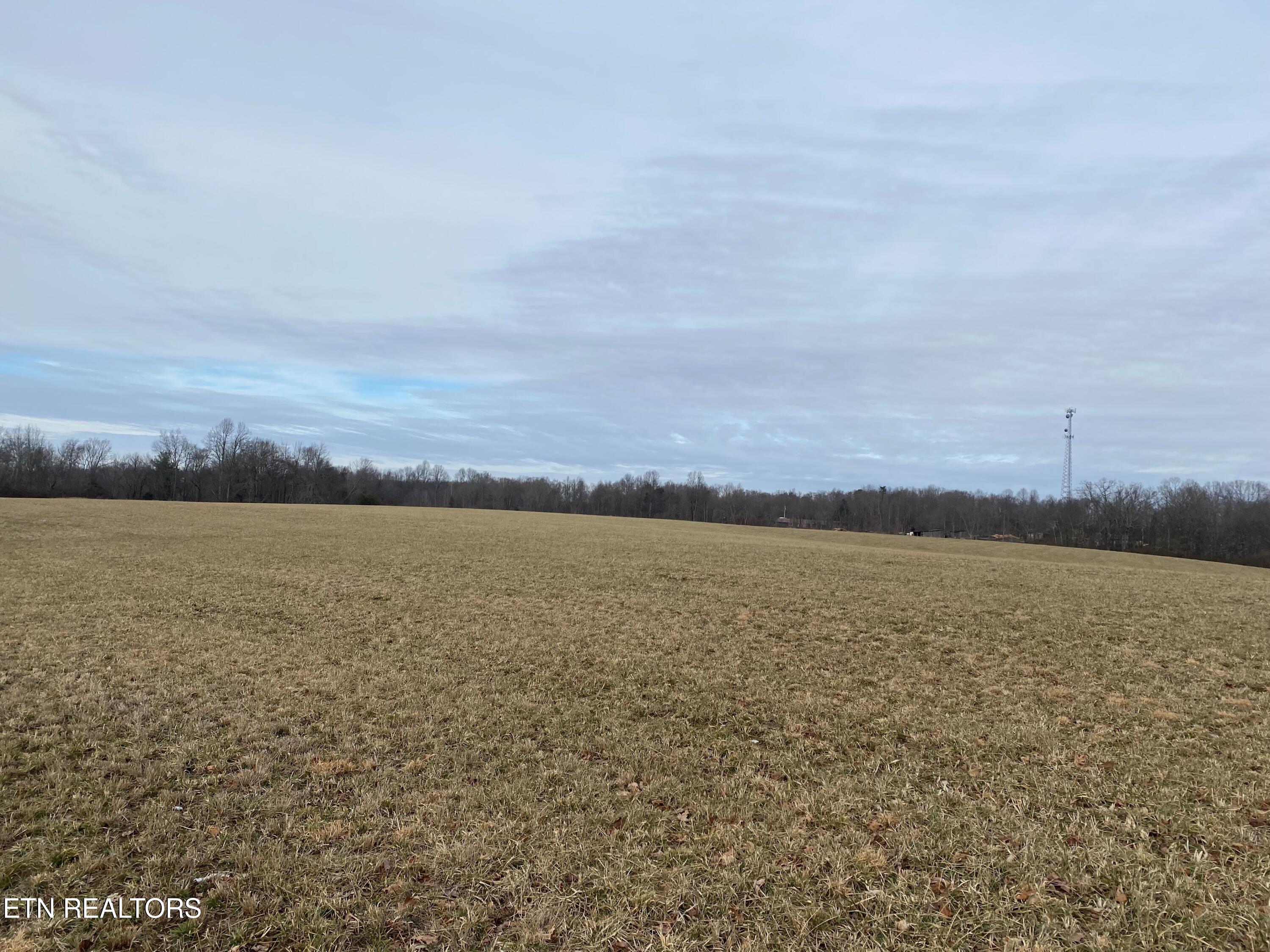 0 Old Martha Washington Road Clarkrange, TN 38553 - Photo 14 of 15 Old MW Road fall photo2