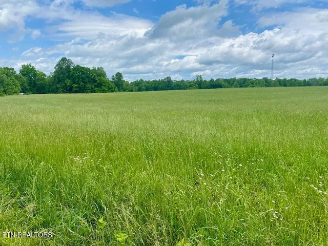 $549,000 | 0 Old Martha Washington Road, Clarkrange, TN 38553