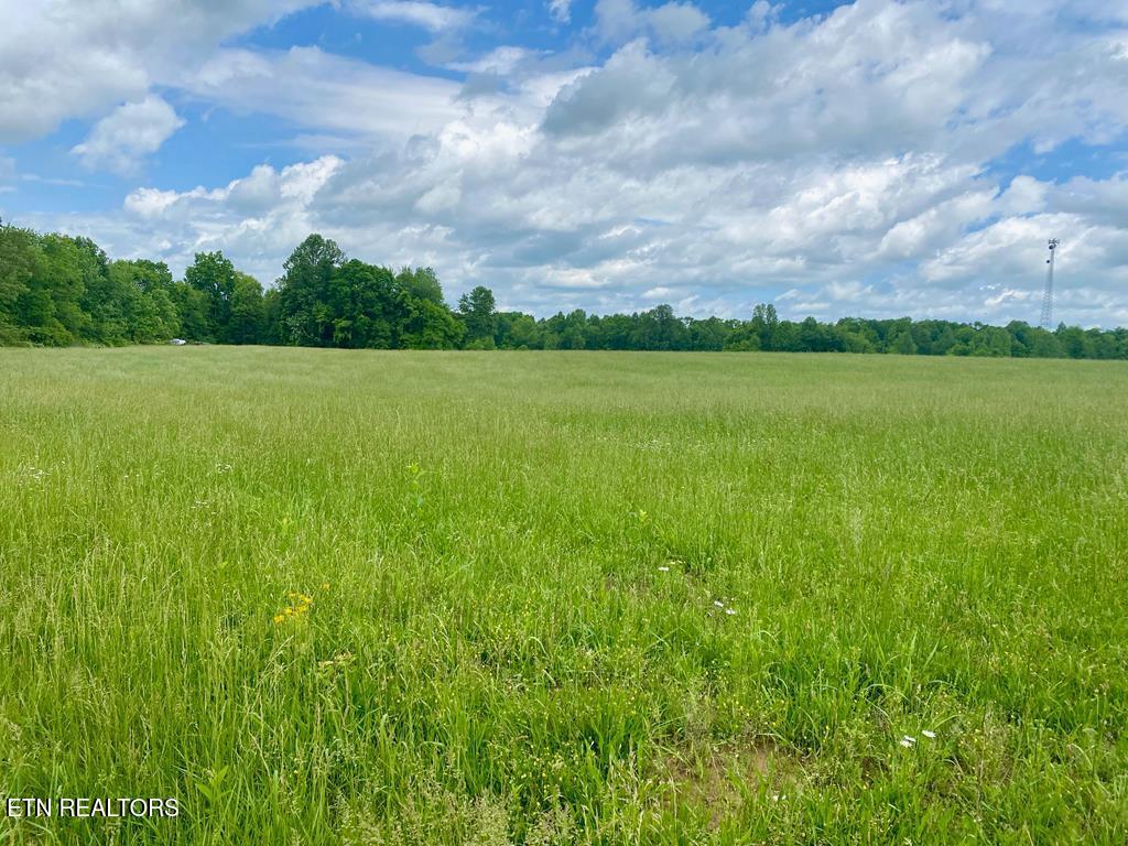 0 Old Martha Washington Road Clarkrange, TN 38553 - Photo 3 of 15 MWRoad land9