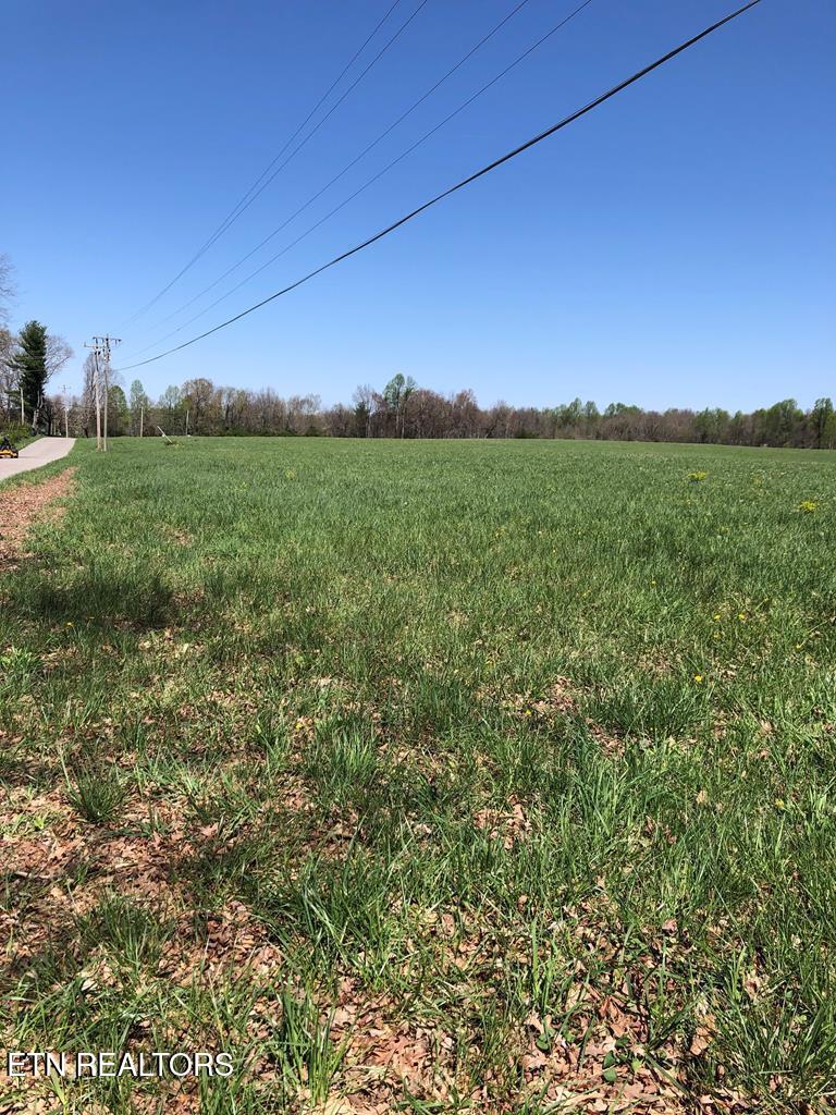 0 Old Martha Washington Road Clarkrange, TN 38553 - Photo 4 of 15 MWRoad land8