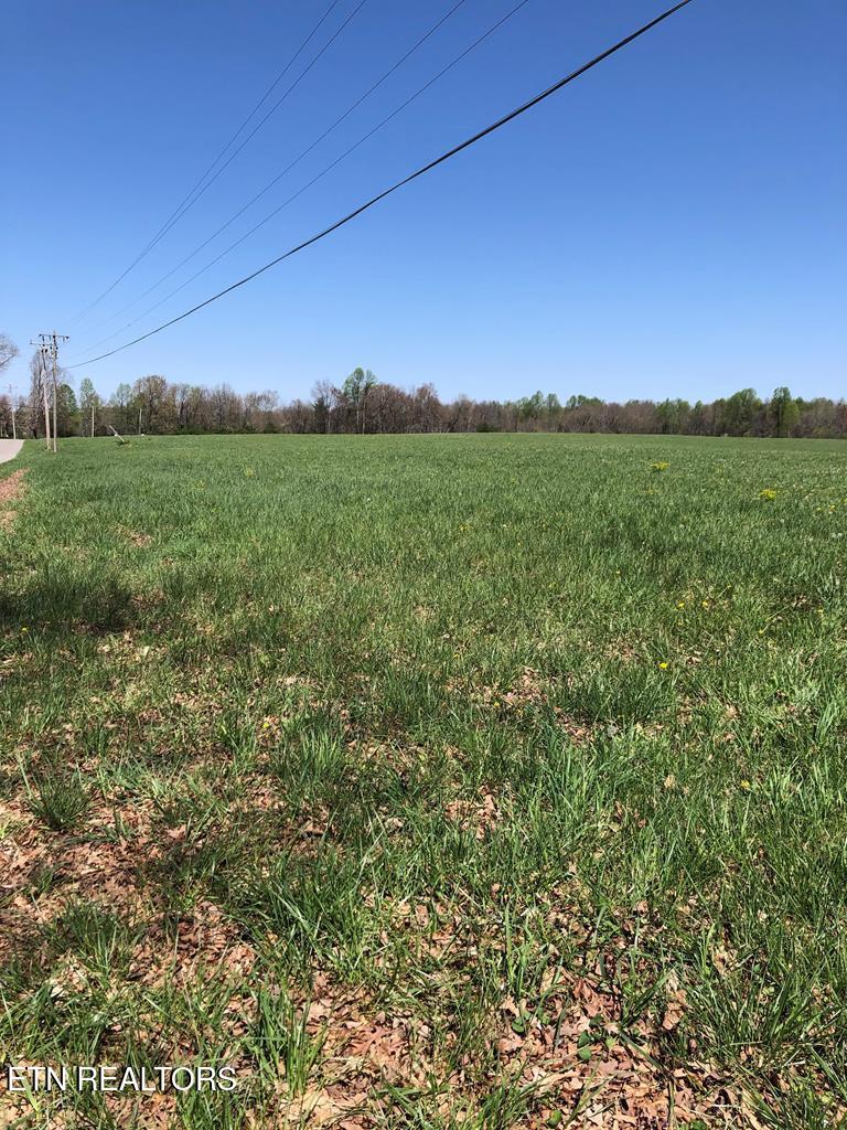 0 Old Martha Washington Road Clarkrange, TN 38553 - Photo 5 of 15 MWRoad land7