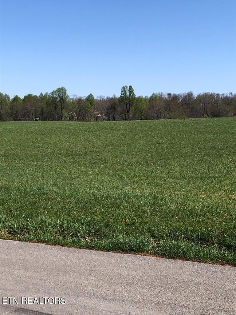 0 Old Martha Washington Road Clarkrange, TN 38553 - Photo 6 of 15 MWRoad land6