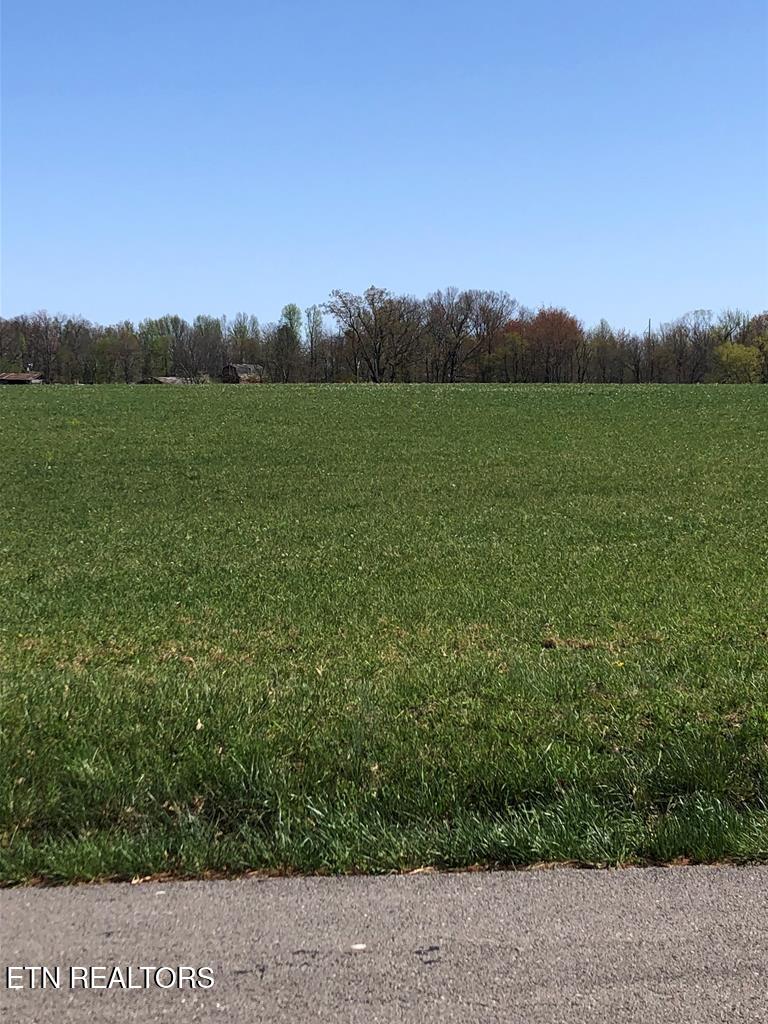 0 Old Martha Washington Road Clarkrange, TN 38553 - Photo 7 of 15 MWRoad land5