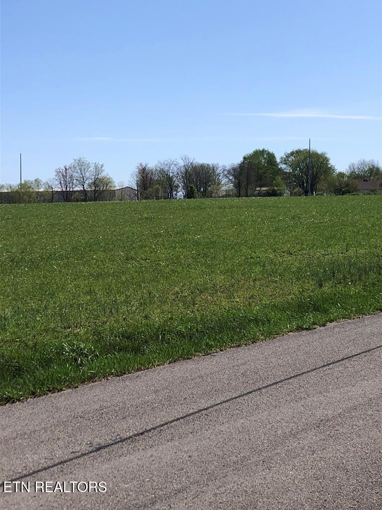 0 Old Martha Washington Road Clarkrange, TN 38553 - Photo 8 of 15 MWRoad land4