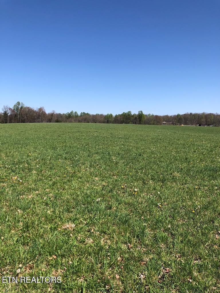 0 Old Martha Washington Road Clarkrange, TN 38553 - Photo 9 of 15 MWRoad land3