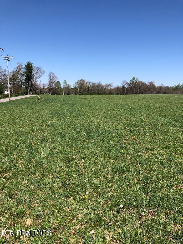 0 Old Martha Washington Road Clarkrange, TN 38553 - Photo 10 of 15 MWRoad land2