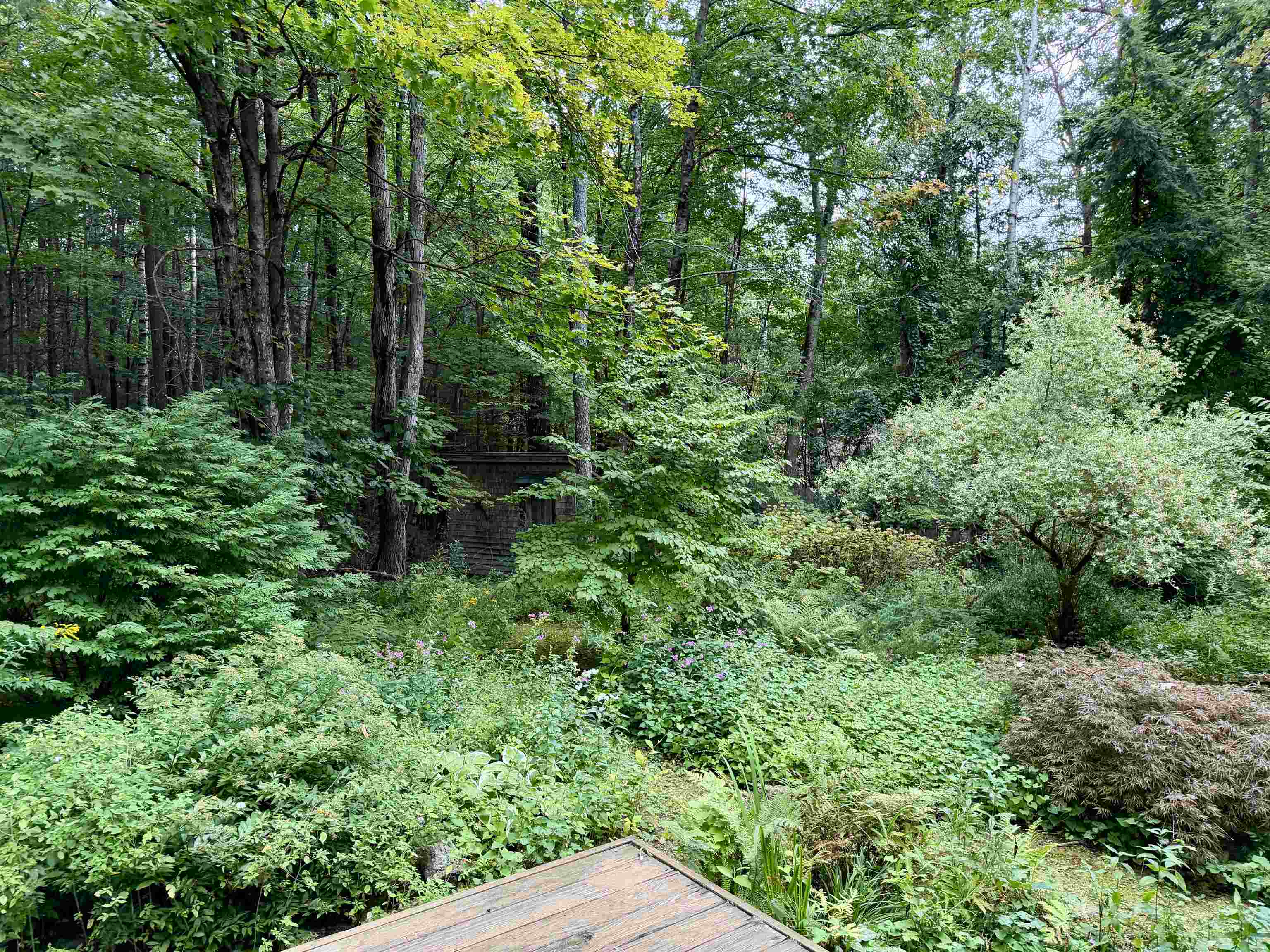 159 Joslin Road Surry, NH 03608 - Photo 32 of 38 Gallery Image 32