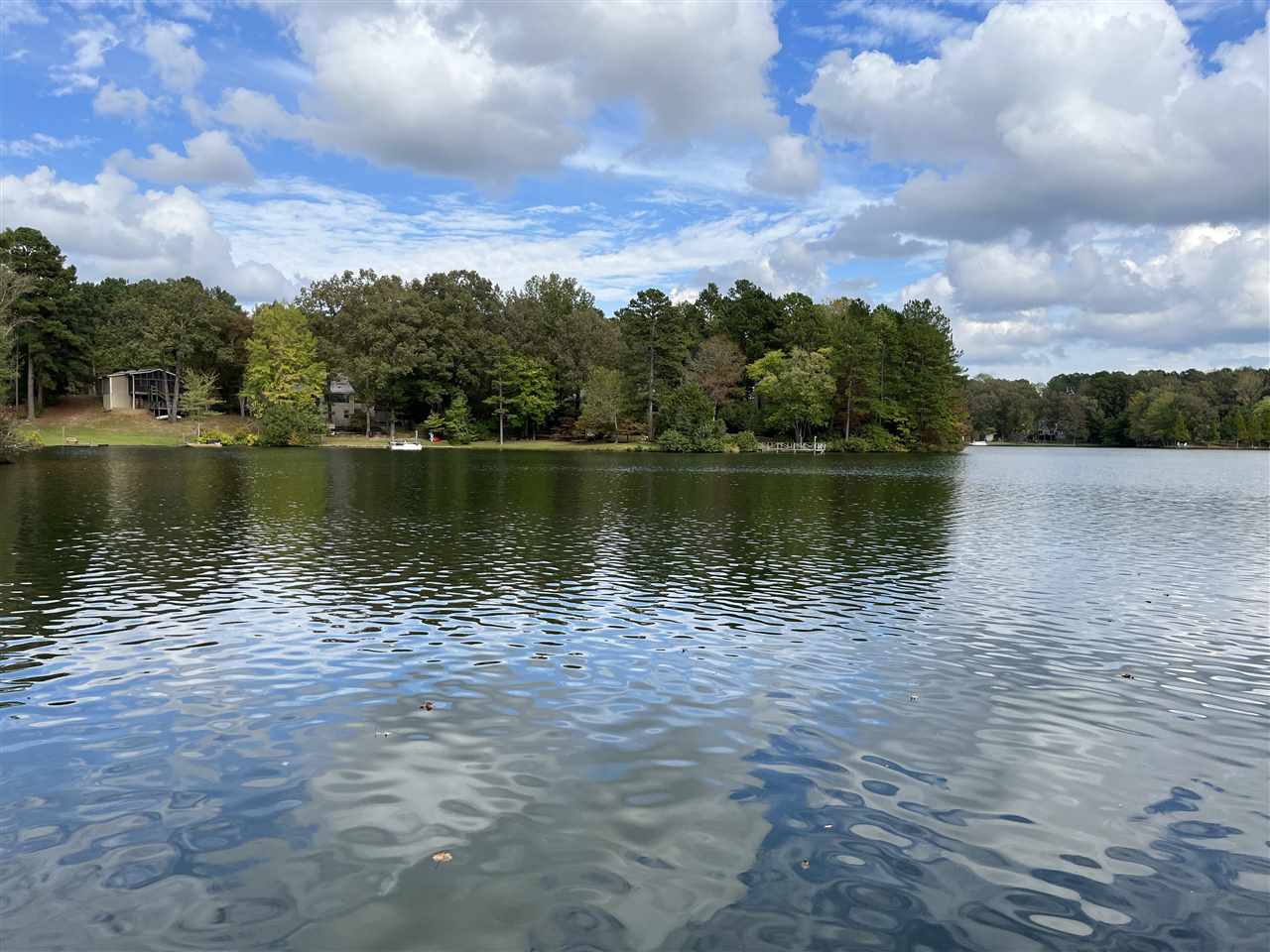 110 Edgewater Drive Middleton, TN 38052 - Photo 4 of 16 a view of a lake