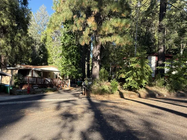 a view of a street with of trees