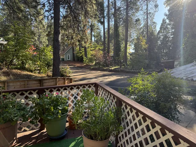 a view of a backyard with plants and a fountain