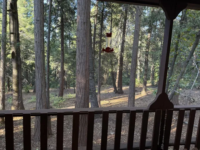 a view of a wooden balcony next to a yard
