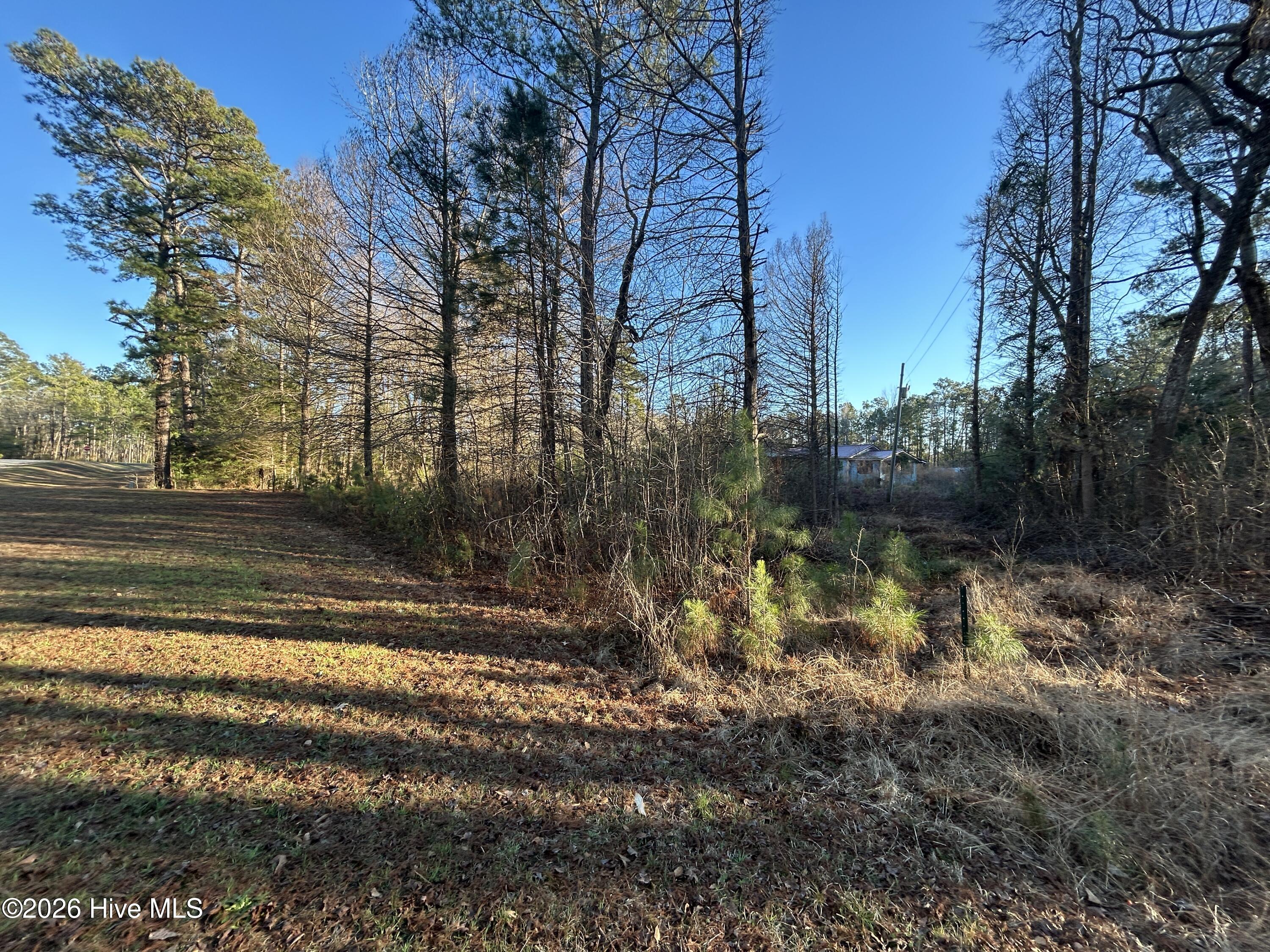 65 Old Blakes Bridge Road Burgaw, NC 28425 - Photo 12 of 22 IMG_9478 (1)