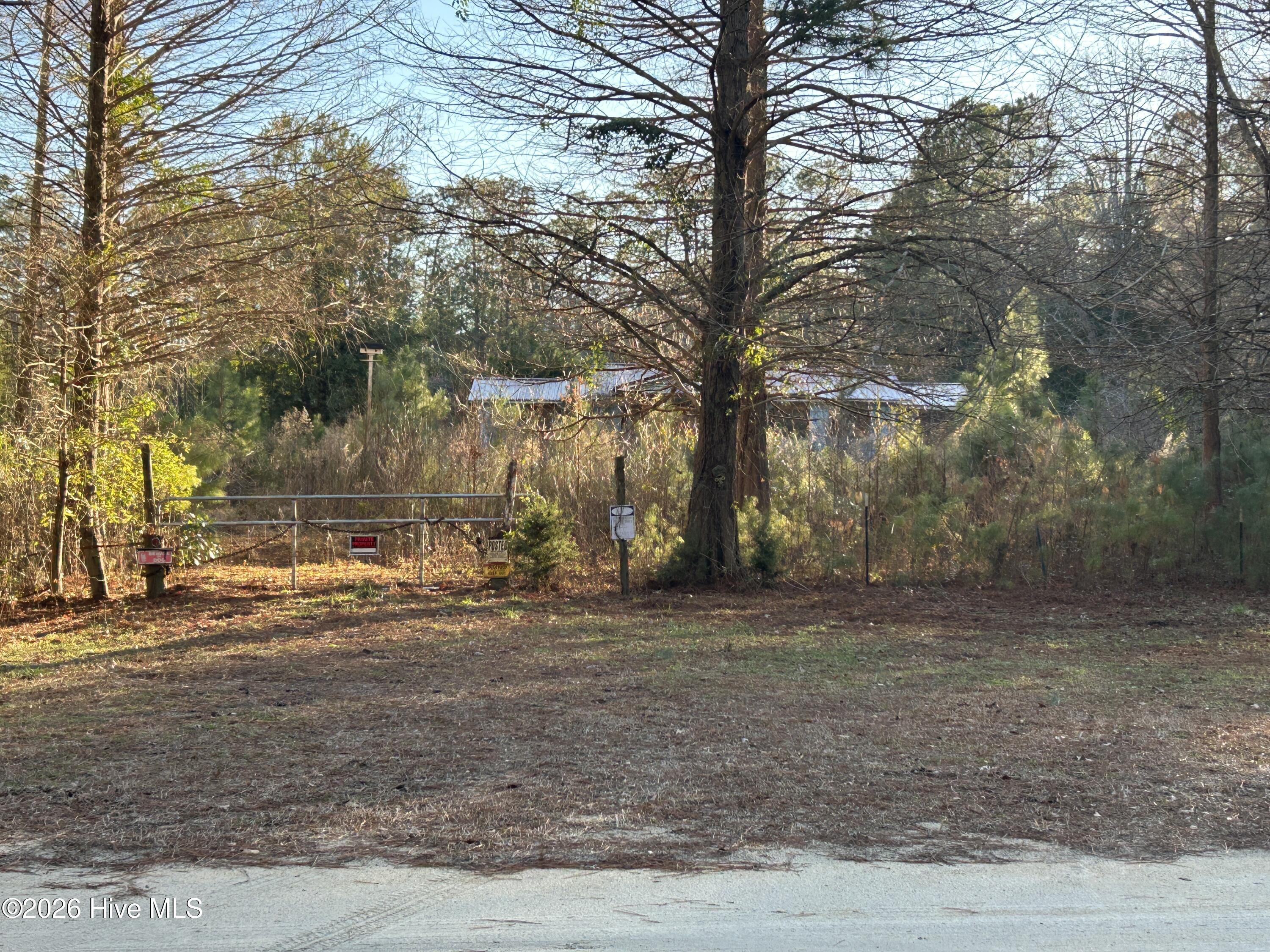 65 Old Blakes Bridge Road Burgaw, NC 28425 - Photo 13 of 22 IMG_9483 (1)