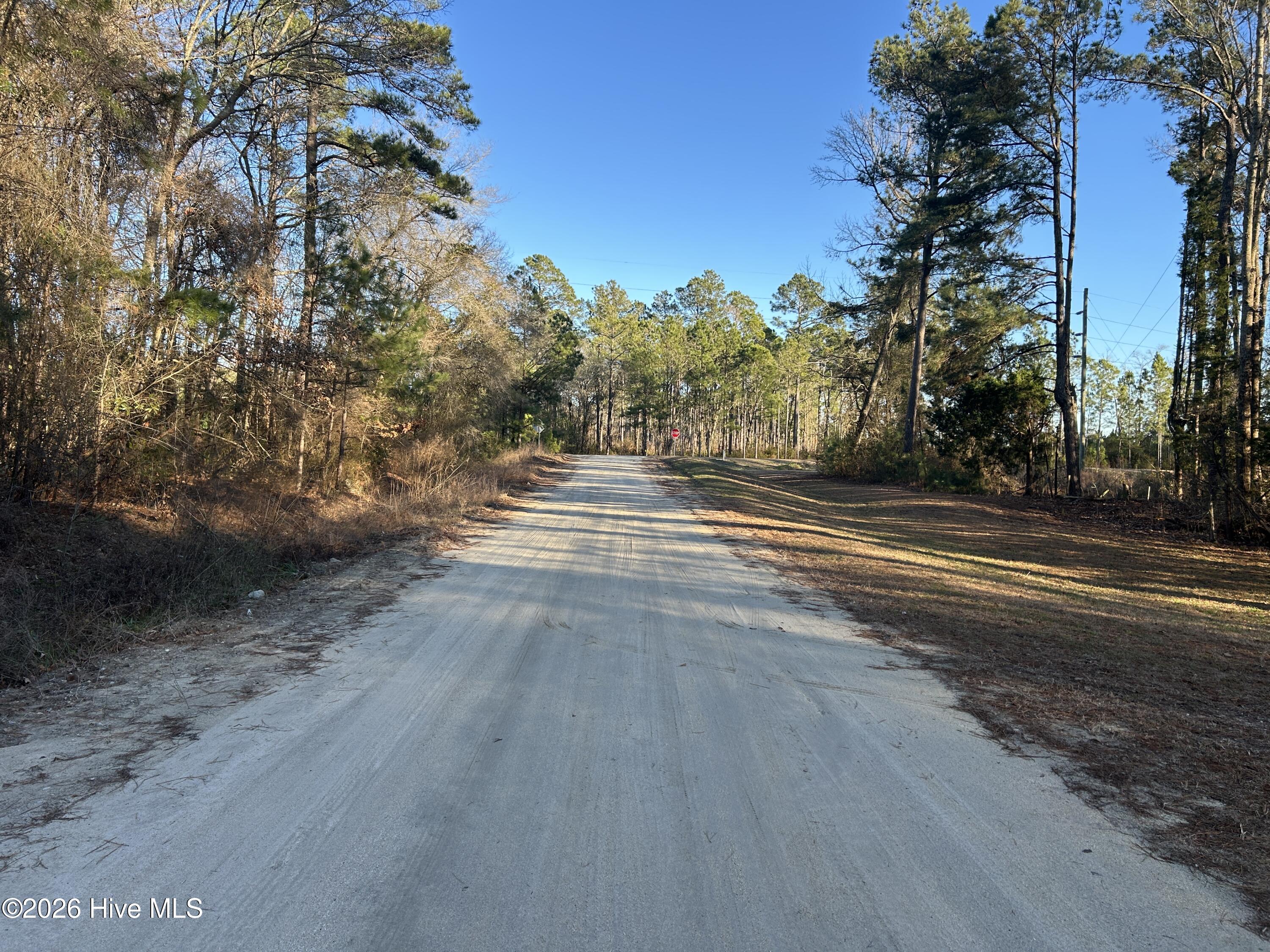 65 Old Blakes Bridge Road Burgaw, NC 28425 - Photo 16 of 22 IMG_9484