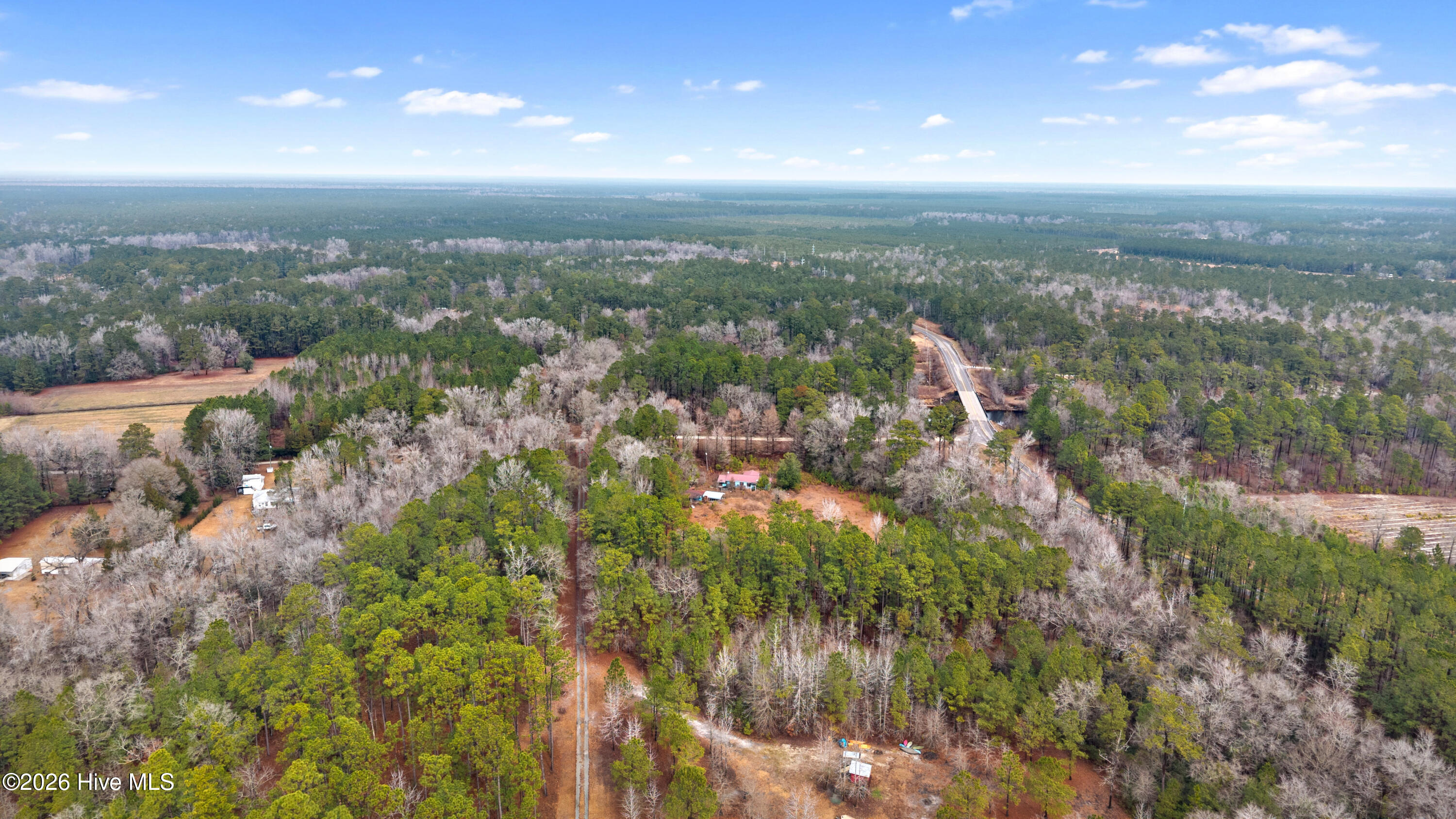65 Old Blakes Bridge Road Burgaw, NC 28425 - Photo 20 of 22 DJI_20260126113331_0007_D