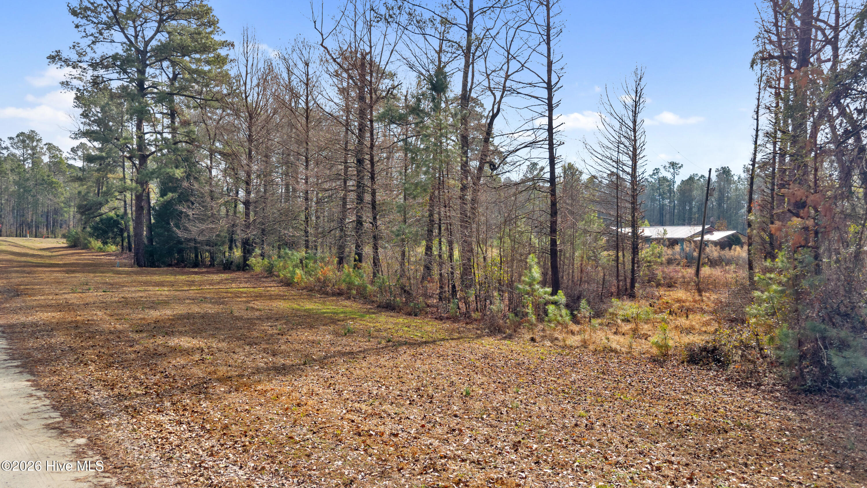 65 Old Blakes Bridge Road Burgaw, NC 28425 - Photo 6 of 22 DJI_20260126114535_0043_D (1)