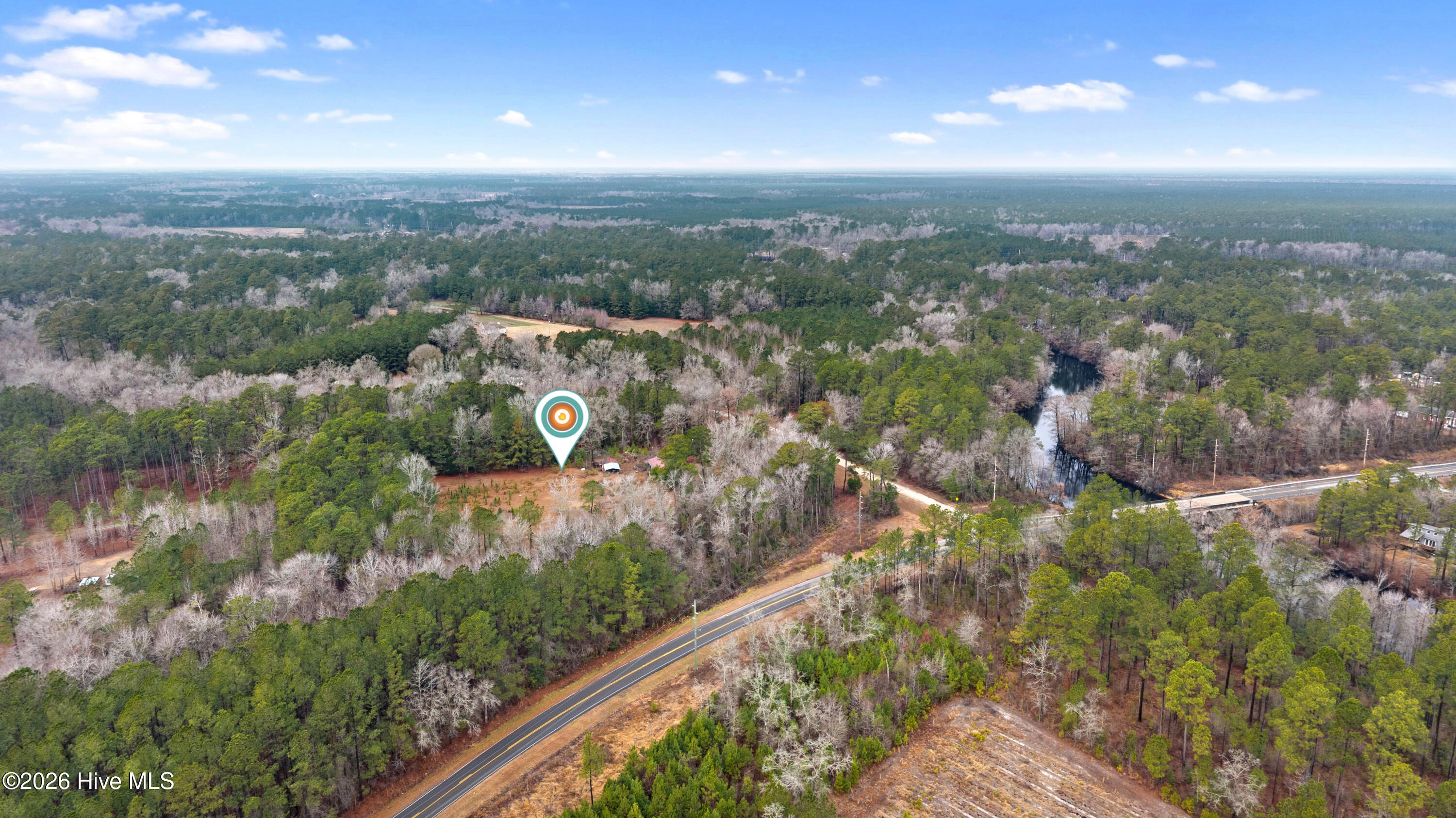 65 Old Blakes Bridge Road Burgaw, NC 28425 - Photo 8 of 22 DJI_20260126113428_0016_D