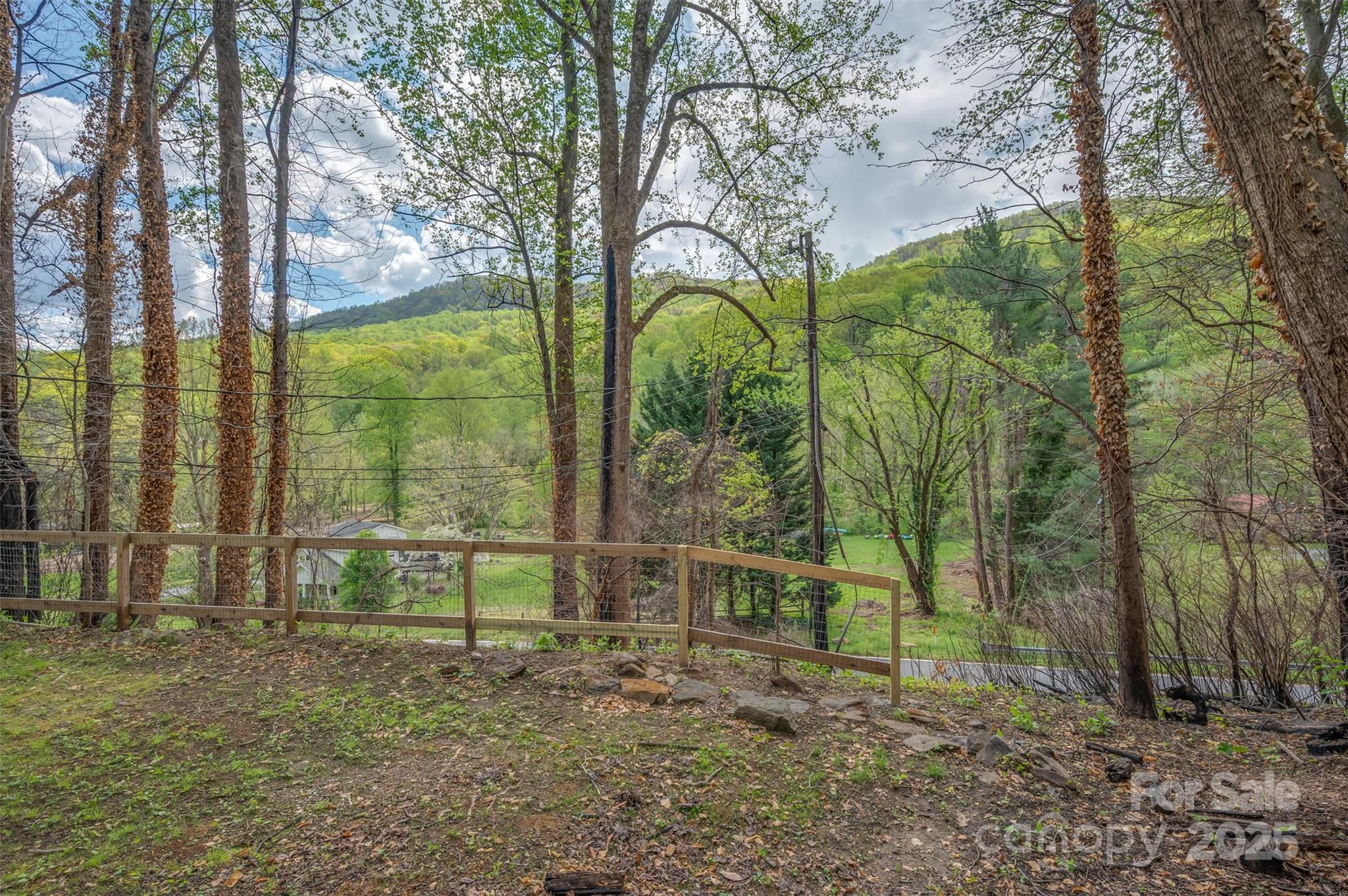 33 Valhalla Drive Tryon, NC 28782 - Photo 4 of 21