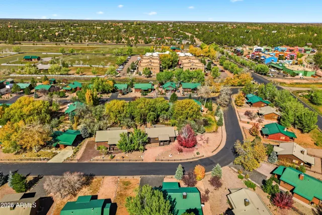 an aerial view of residential houses with outdoor space