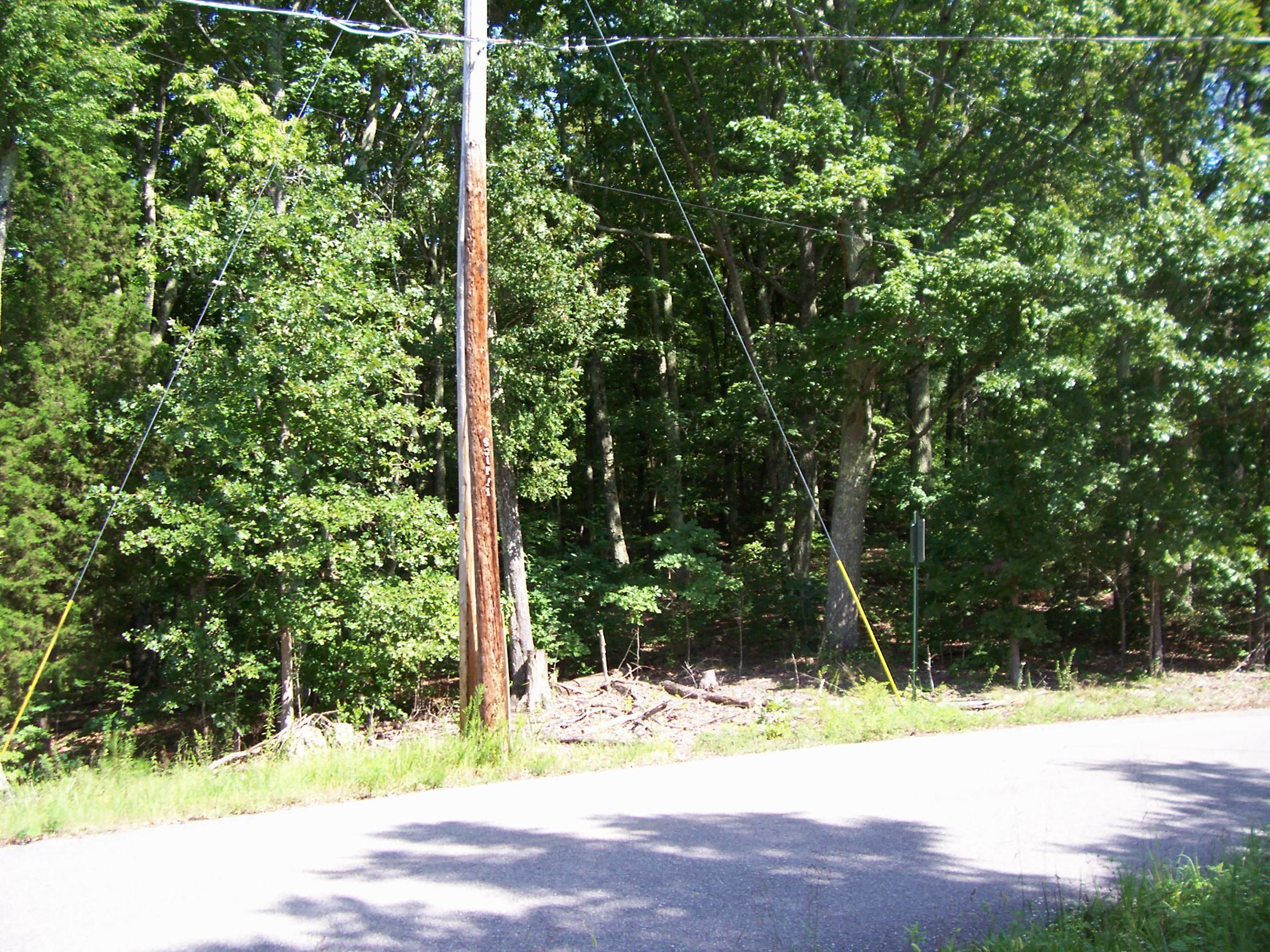 1680 Reed Road Ten Mile, TN 37880 - Photo 4 of 9 100_3622