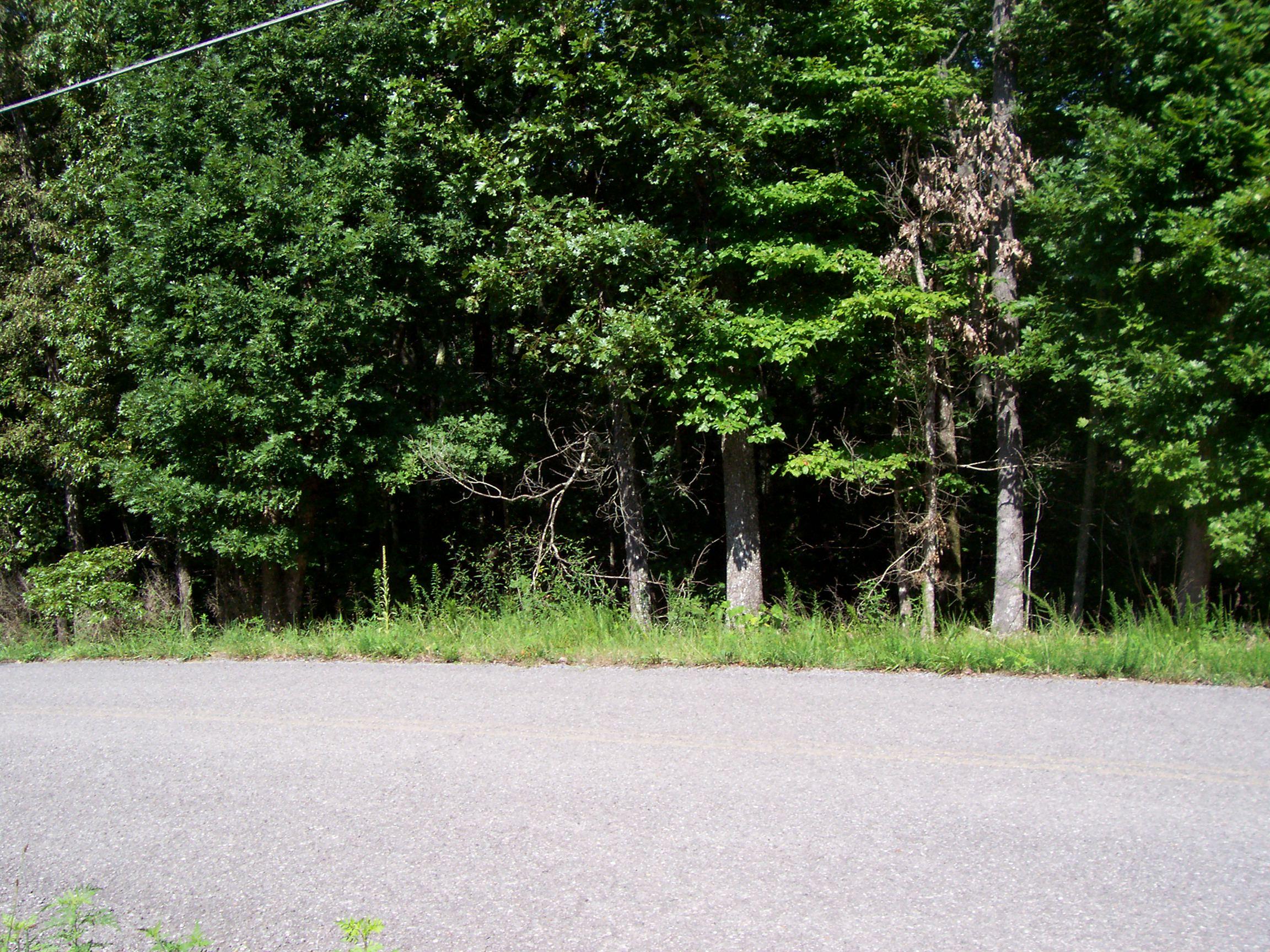 1680 Reed Road Ten Mile, TN 37880 - Photo 5 of 9 100_3623