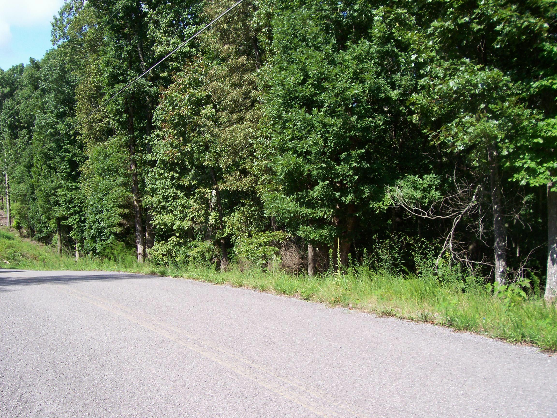 1680 Reed Road Ten Mile, TN 37880 - Photo 7 of 9 100_3625