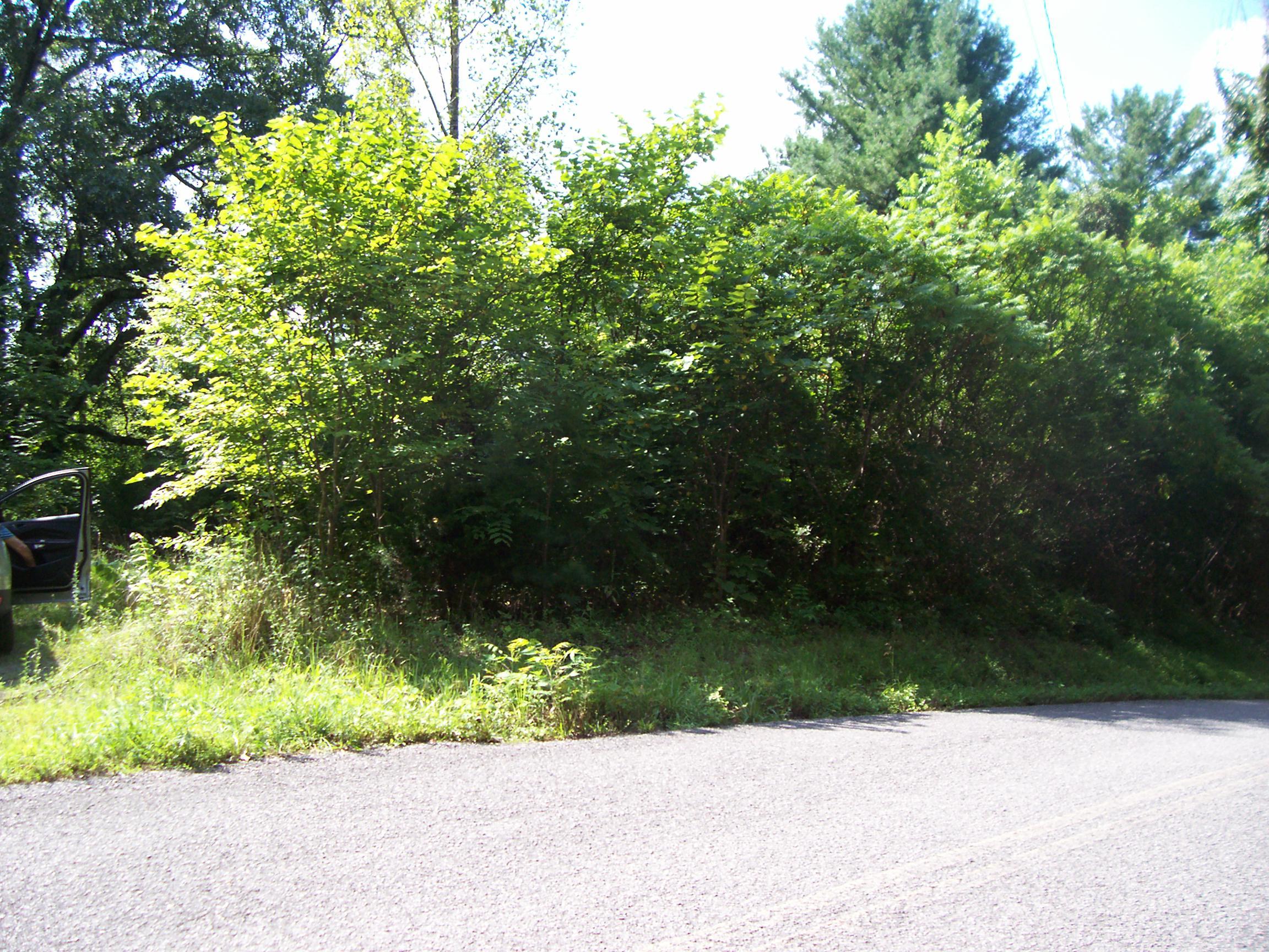 1680 Reed Road Ten Mile, TN 37880 - Photo 8 of 9 100_3626