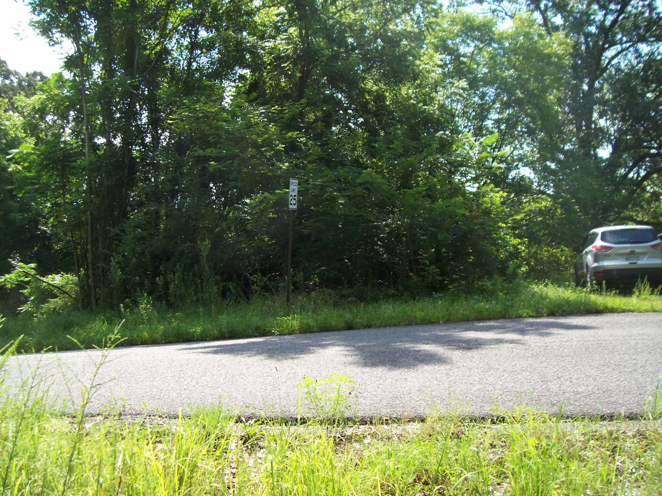 1680 Reed Road Ten Mile, TN 37880 - Photo 9 of 9 100_3627