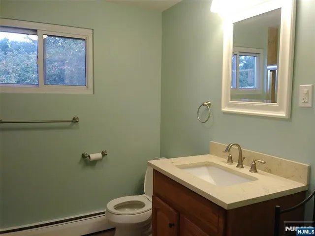 a bathroom with a sink toilet and vanity