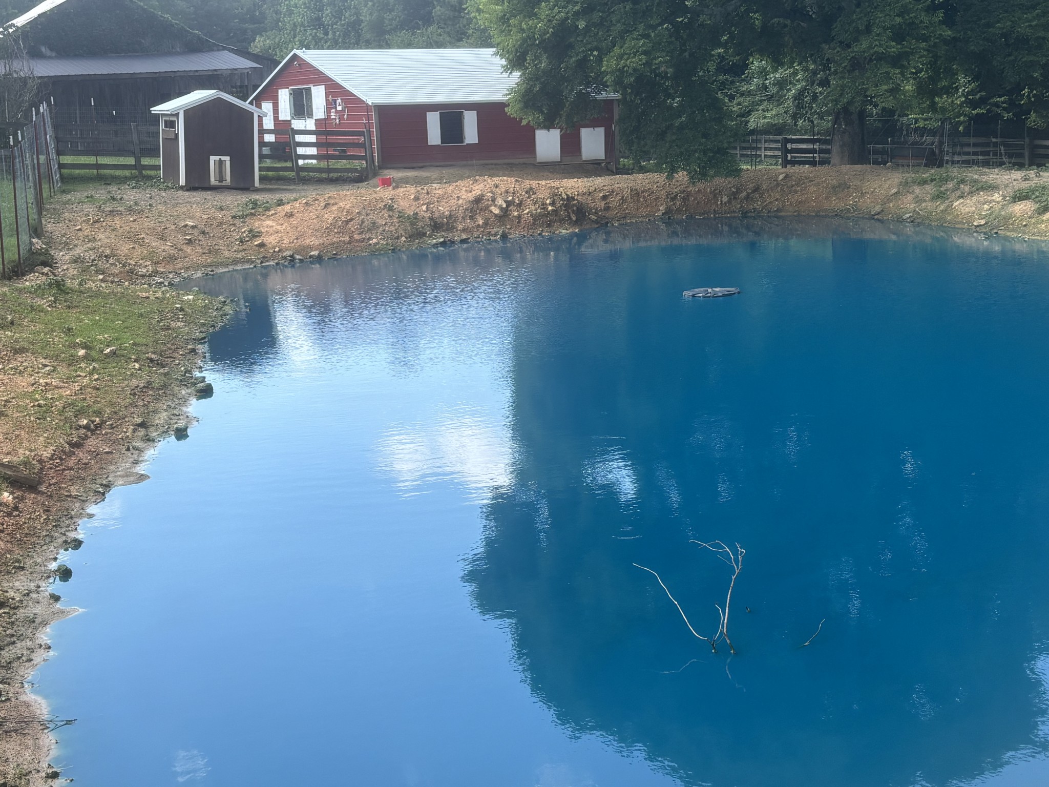 1221 Johnson Branch Road Pulaski, TN 38478 - Photo 80 of 100