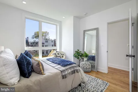 a living room with a bed and a potted plant
