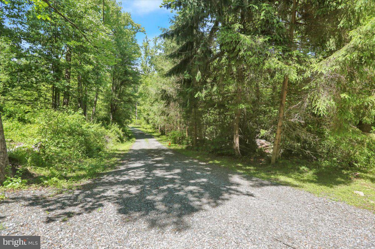 0 Huffs Church Road Barto, PA 19504 - Photo 8 of 8