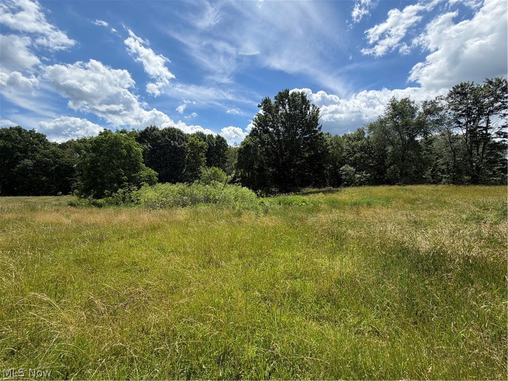 15441 Johnson Road Lisbon, OH 44432 - Photo 12 of 45 Nature