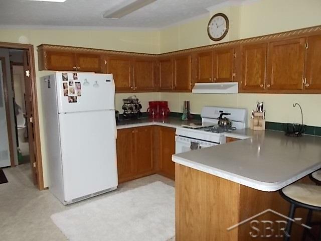 1695 West Erickson Road Linwood, MI 48634 - Photo 8 of 21 31316118-7.JPG