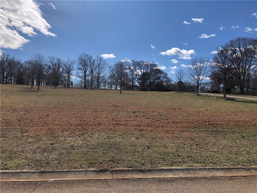 0 Sally Reed Road Belton, SC 29627 - Photo 4 of 7