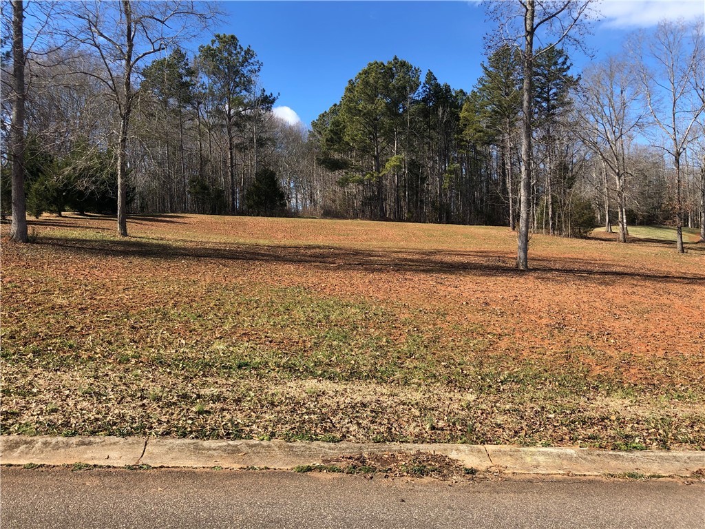 0 Sally Reed Road Belton, SC 29627 - Photo 6 of 7