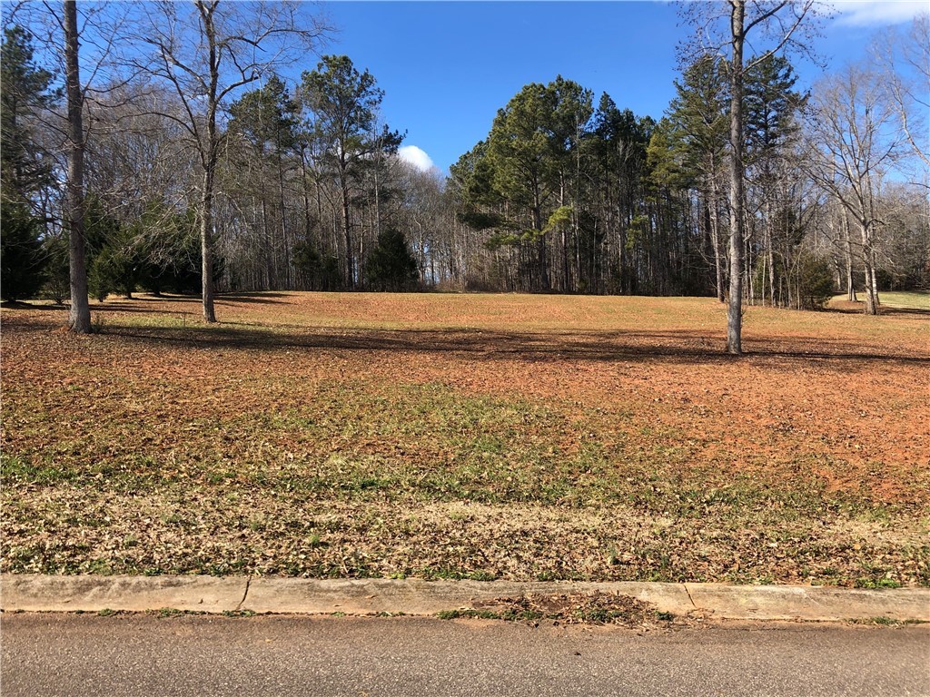 0 Sally Reed Road Belton, SC 29627 - Photo 7 of 7