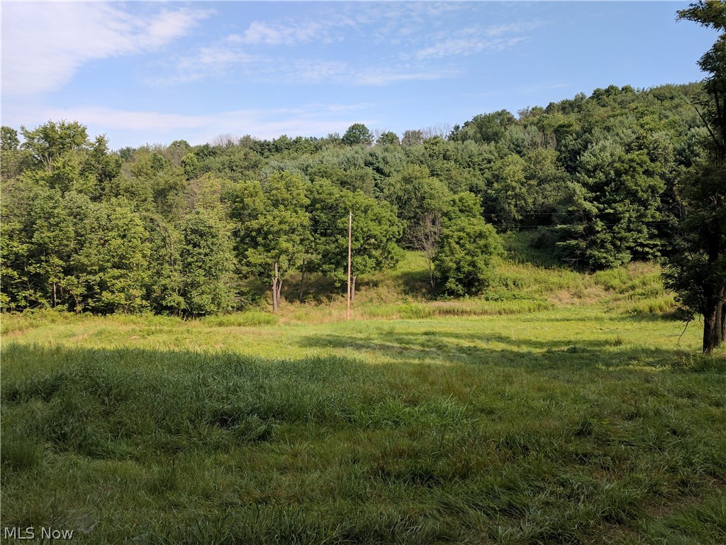 6806 Buehler Hill Road Port Washington, OH 43837 - Photo 12 of 19