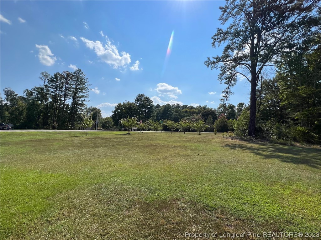 3656 Farrell Road Sanford, NC 27330 - Photo 6 of 39 Gallery Image 6