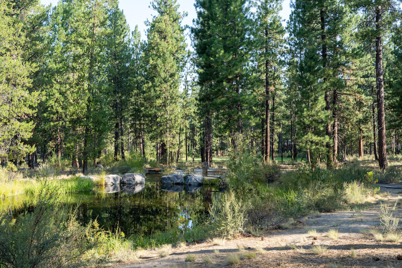 56196 Sable Rock Loop Bend, OR 97707 - Photo 2 of 28 2