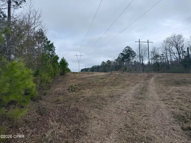 $400,000 | 0 Dunn Road, Chattahoochee, FL 32324