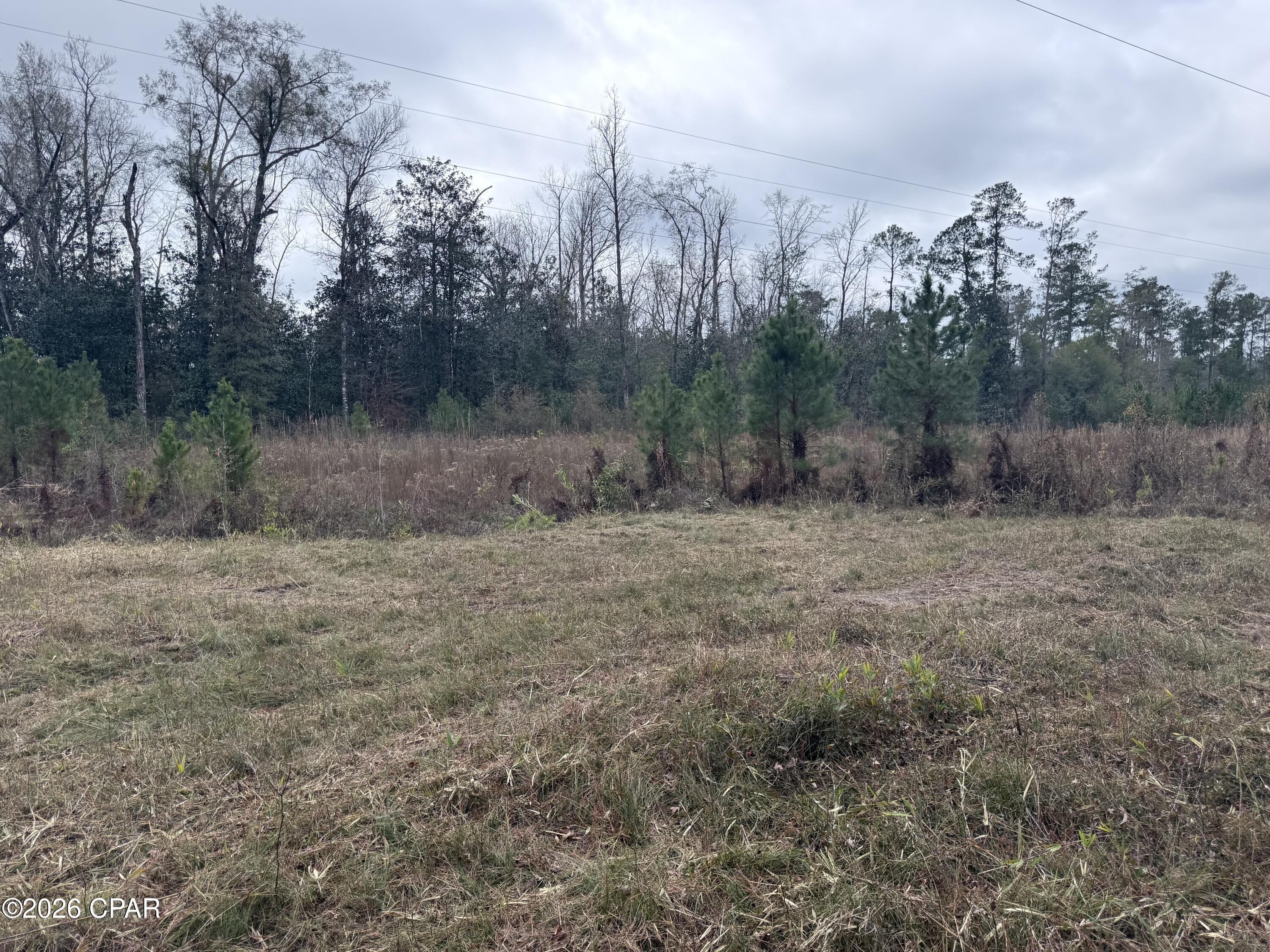 0 Dunn Road Chattahoochee, FL 32324 - Photo 2 of 4