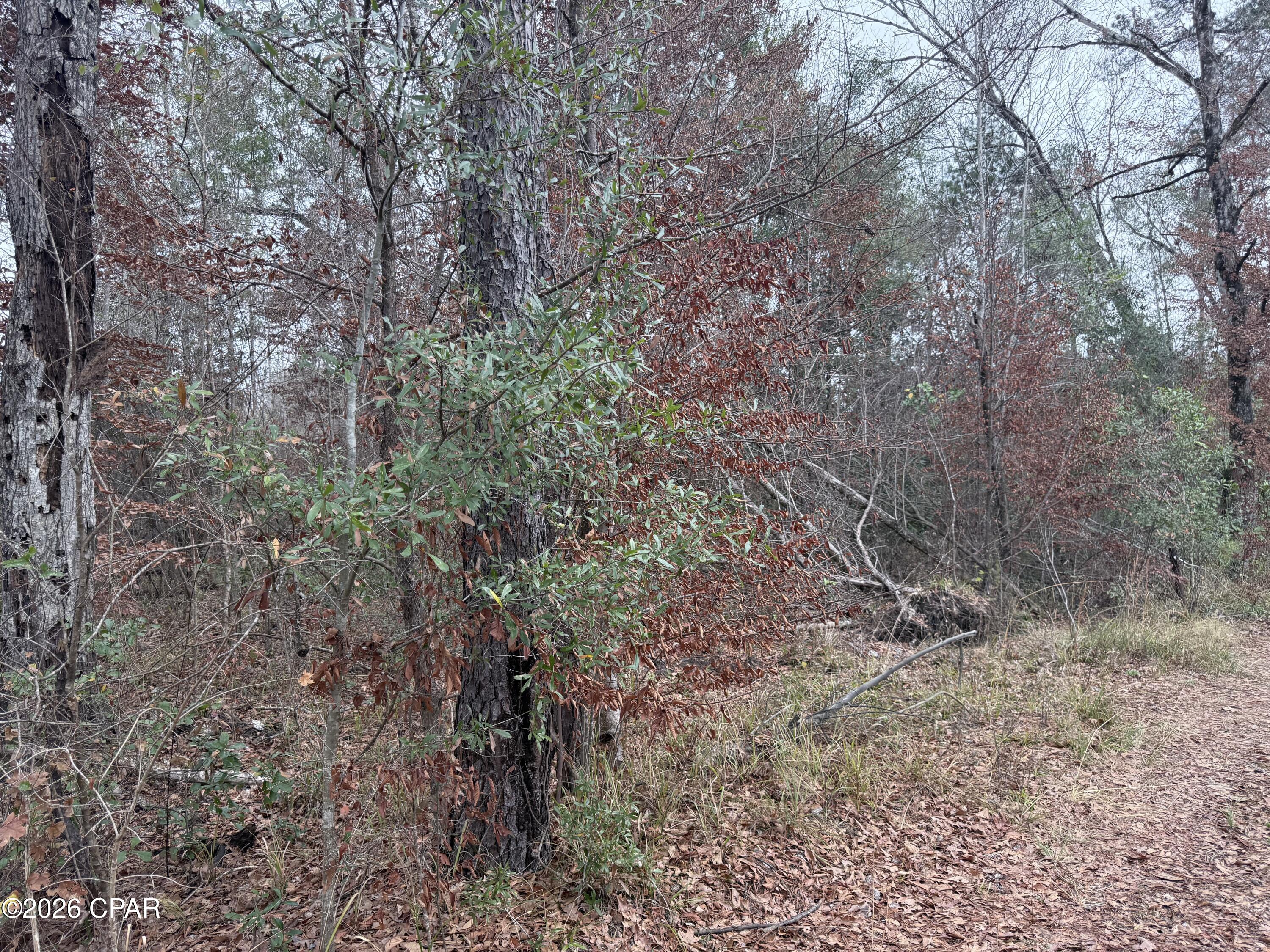 0 Dunn Road Chattahoochee, FL 32324 - Photo 3 of 4