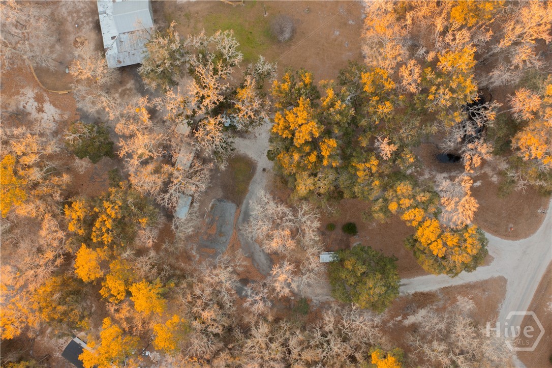 1705 Retreat Road Riceboro, GA 31323 - Photo 45 of 51