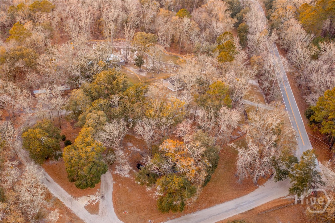 1705 Retreat Road Riceboro, GA 31323 - Photo 48 of 51