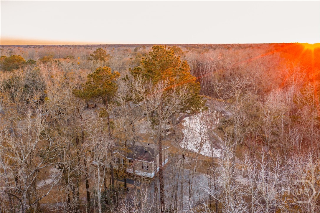 1705 Retreat Road Riceboro, GA 31323 - Photo 49 of 51