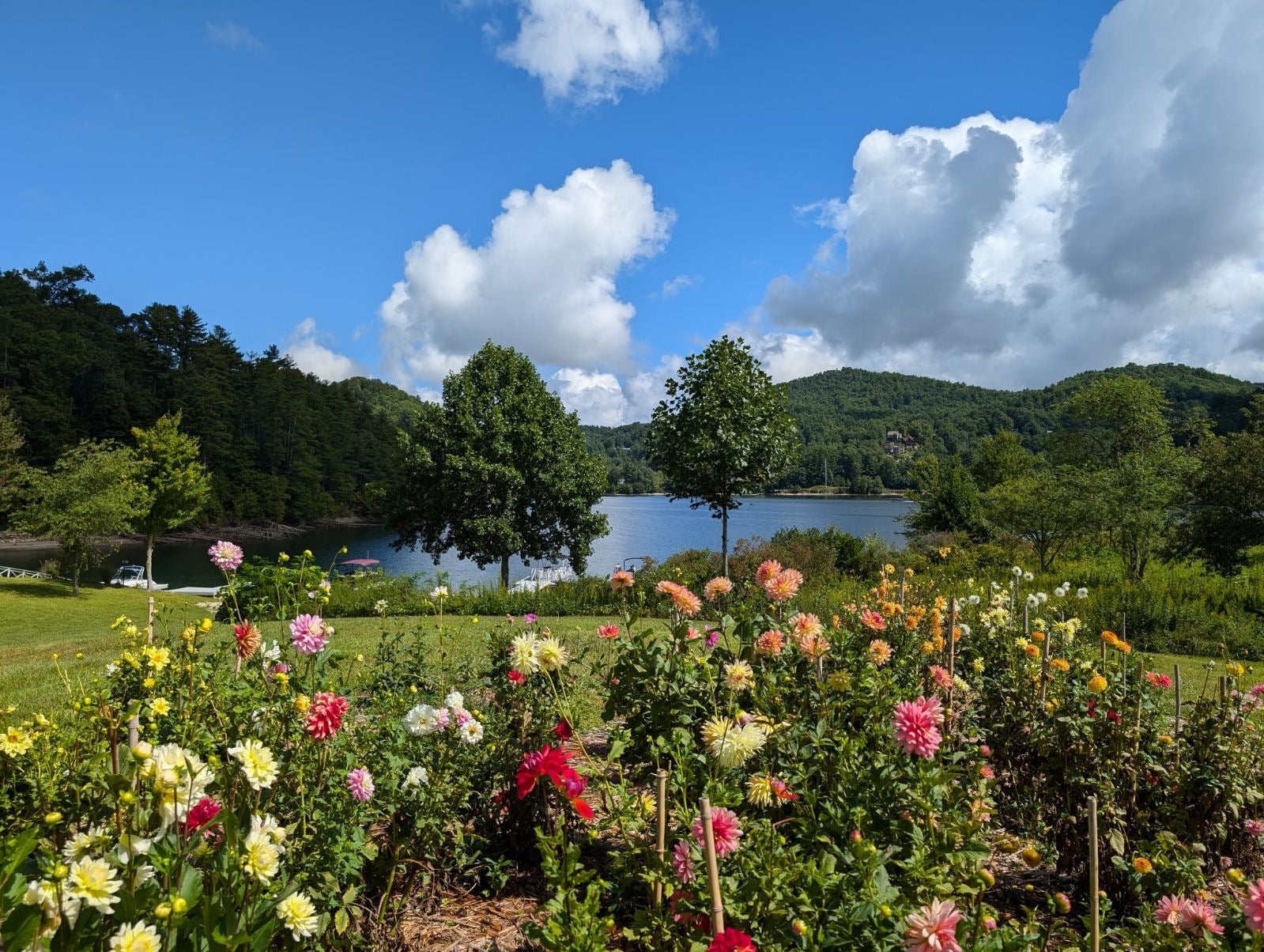 Lot 1 Upper Mdw Road Cullowhee, NC 28723 - Photo 1 of 17 Gallery Image 1