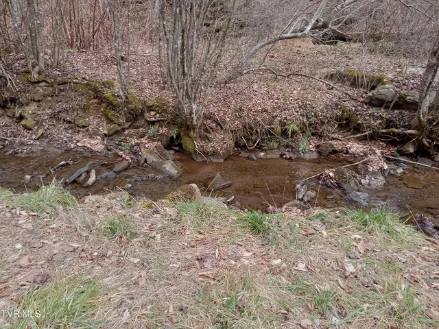 $242,000 | Tbd Old Wolf Road, Grundy, VA 24614